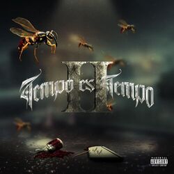 Cover of Tempo Es Tempo II