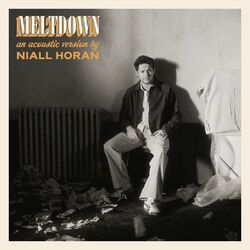 Cover of Meltdown (Acoustic)