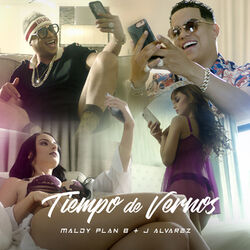 Cover of Tiempo de Vernos
