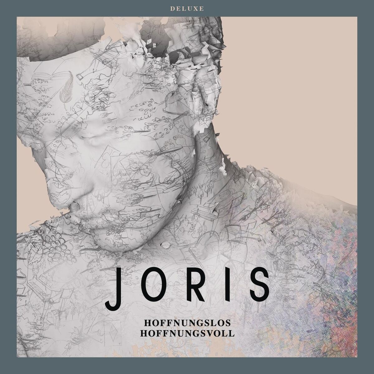 Album cover of Sommerregen