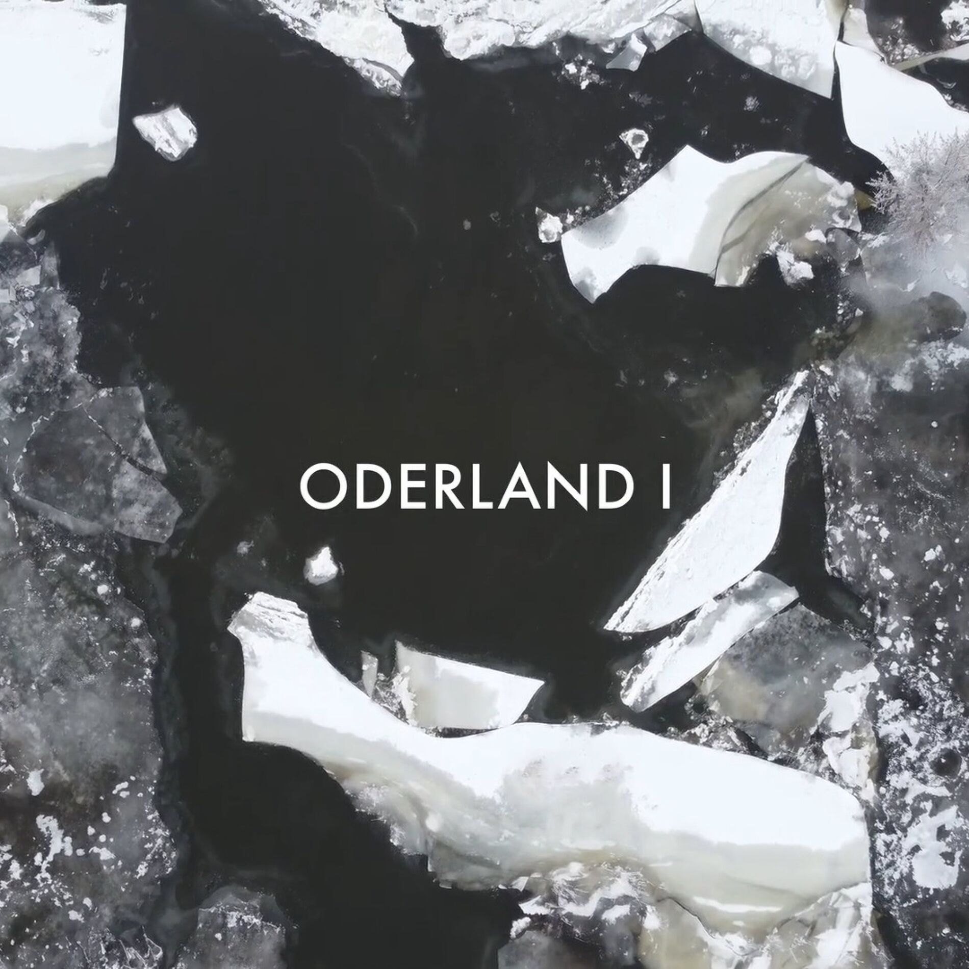 Album cover of ODERLAND I