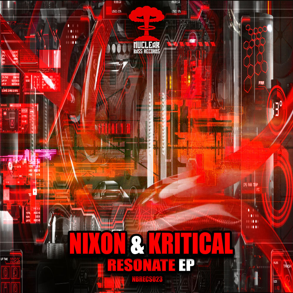 Picture of Resonate