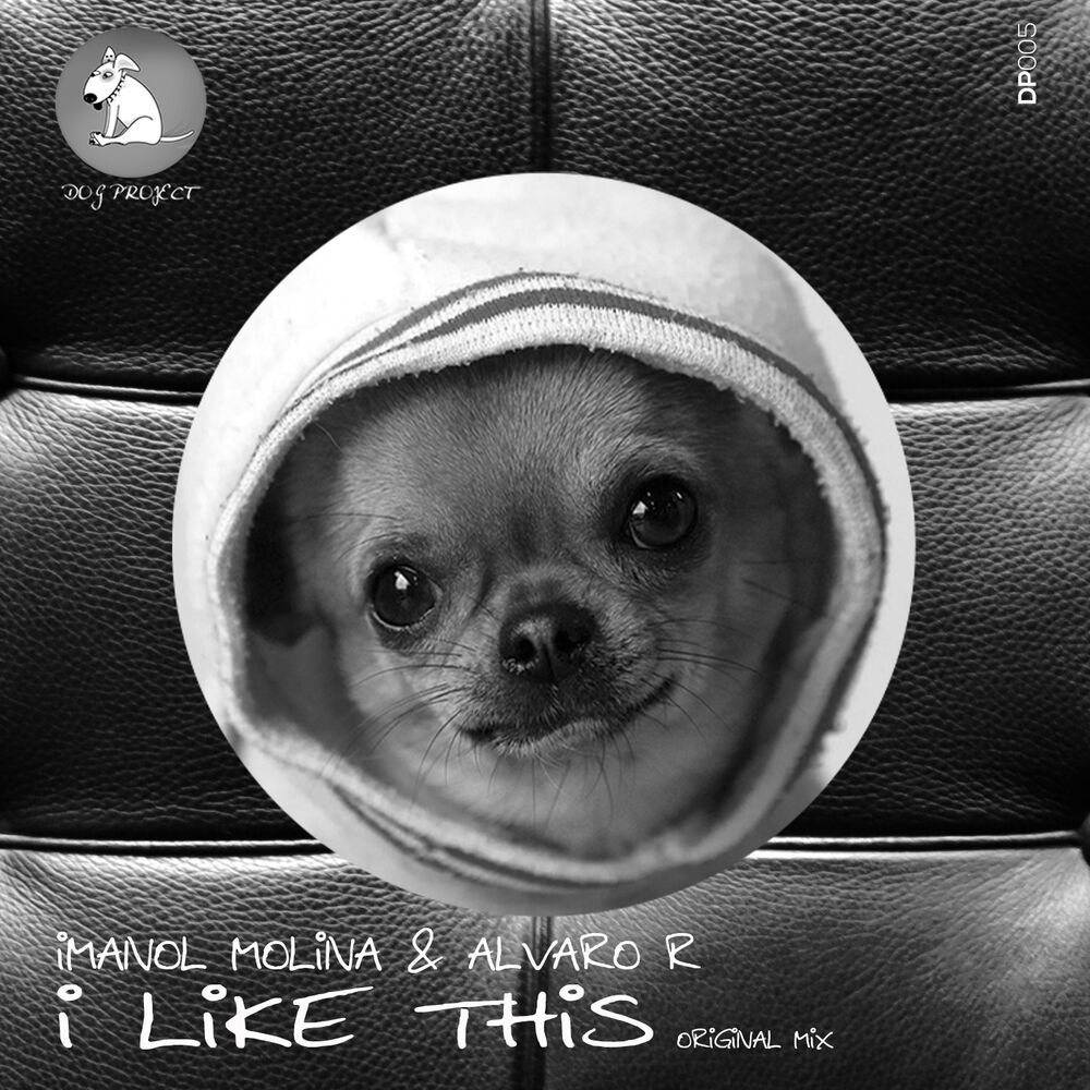 Picture of I Like This