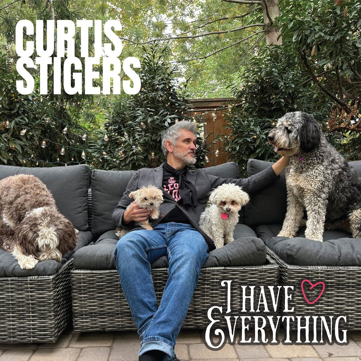 Album cover of I Have Everything