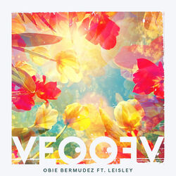 Cover of Veo Veo