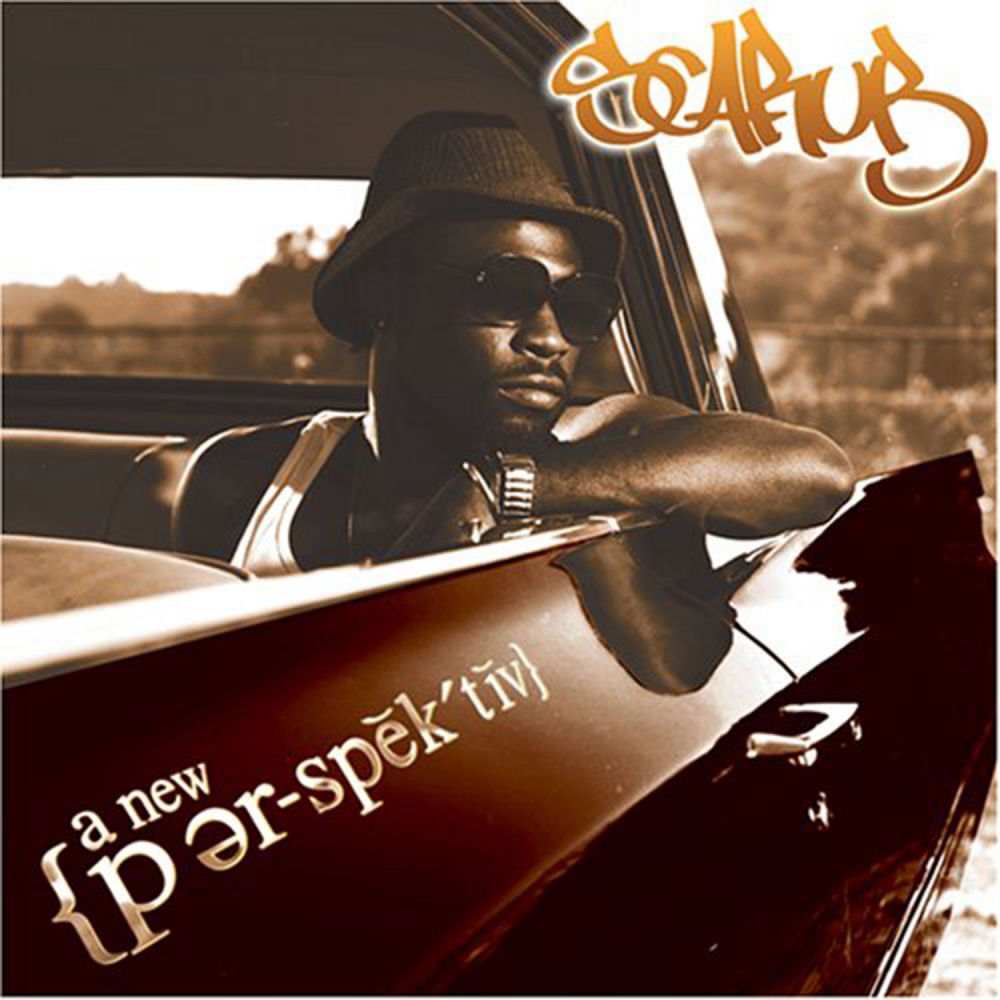 Pochette A New Perspective