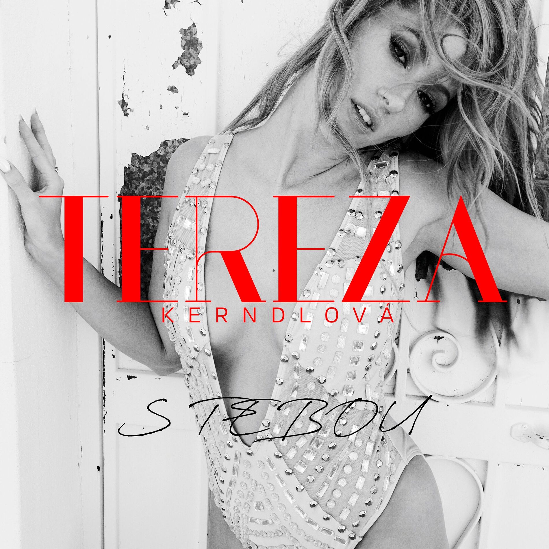 Album cover of S tebou