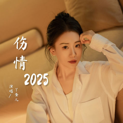 伤情2025 (DJ默涵版)