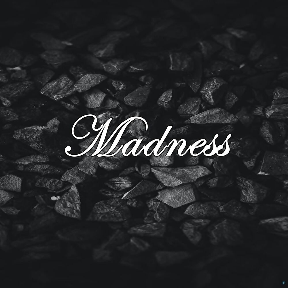 Picture of Madness (Instrumental)