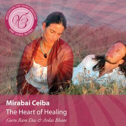 Cover of Meditations for Transformation: The Heart of Healing