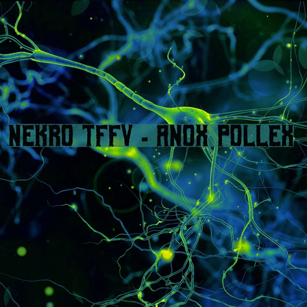 Picture of Anox Pollex