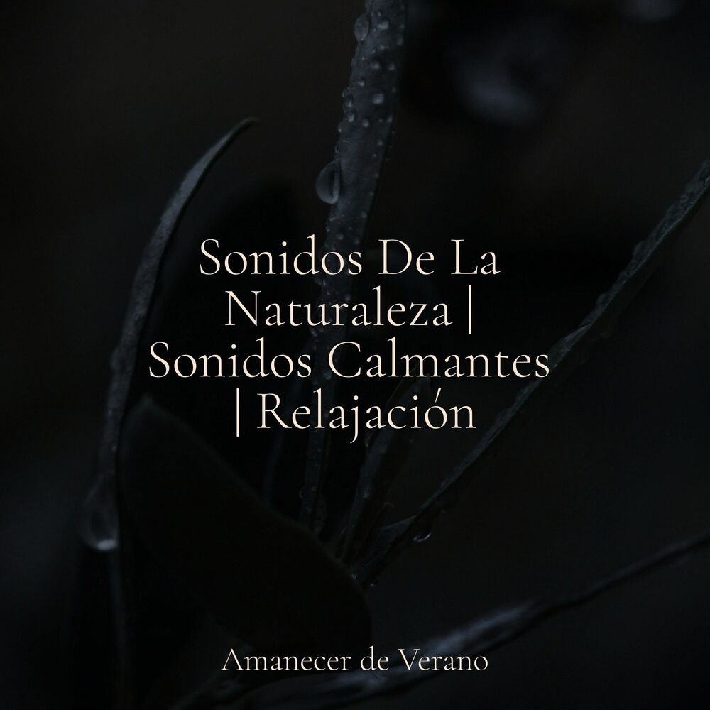 Picture of Sonidos De La Naturaleza | Sonidos Calmantes | Relajación