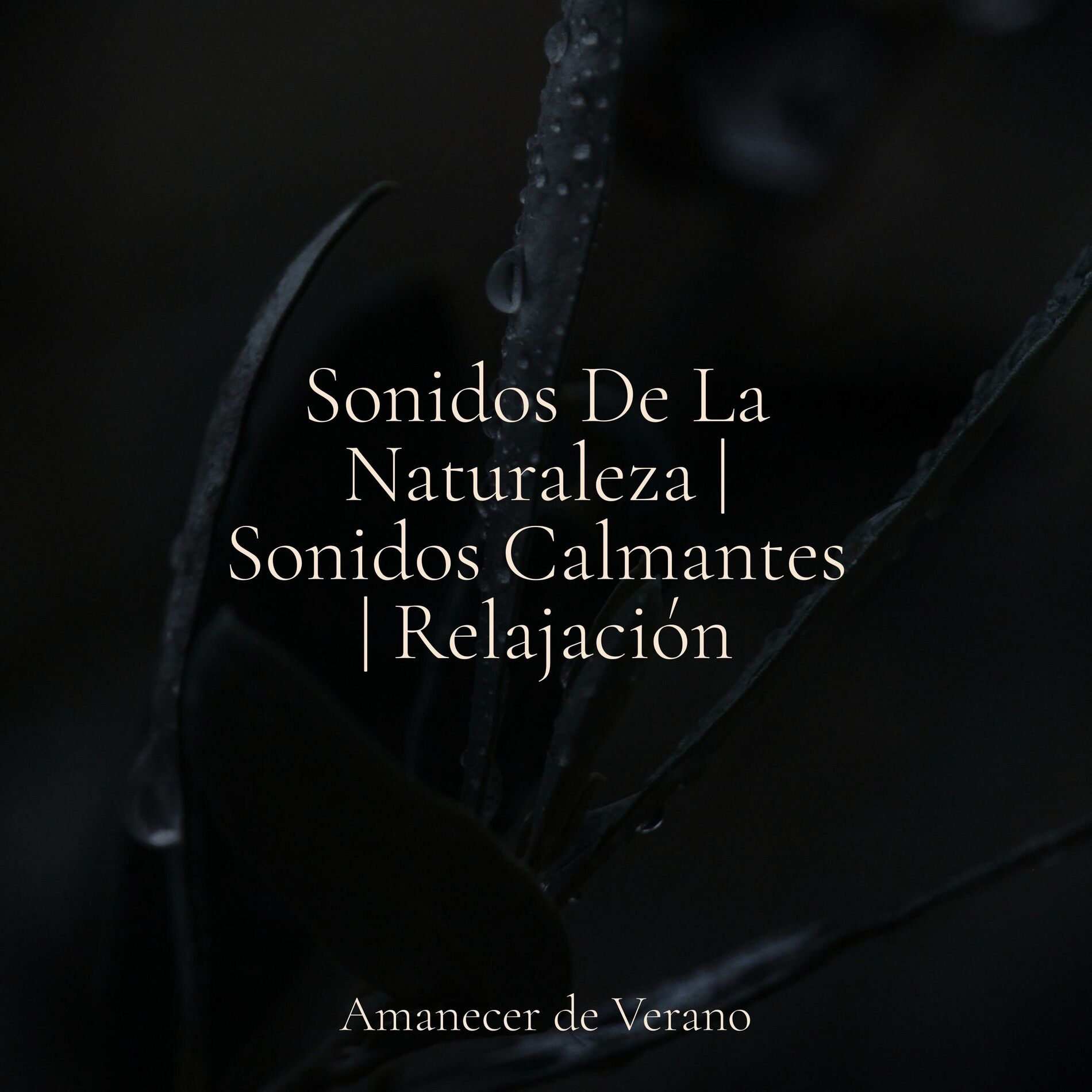 Album cover of Sonidos De La Naturaleza | Sonidos Calmantes | Relajación