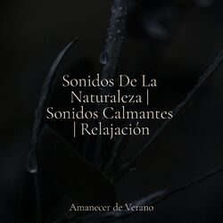 Cover of Sonidos De La Naturaleza | Sonidos Calmantes | Relajación
