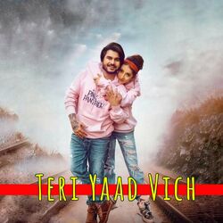 Cover of Teri Yaad Vich
