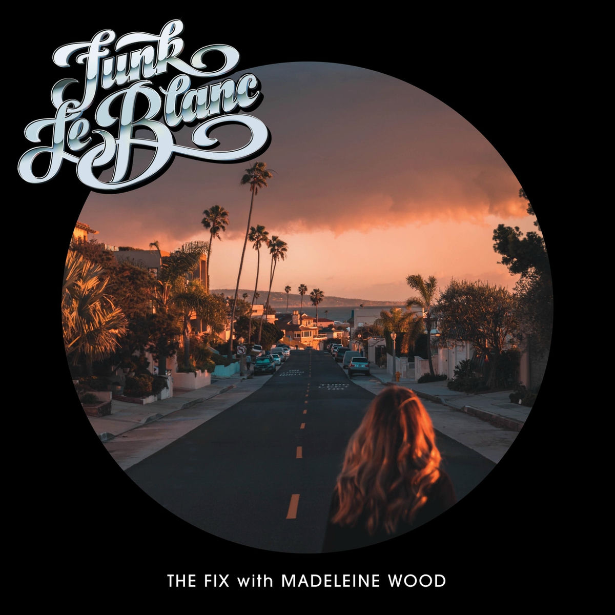 Album cover of The Fix