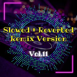 Slowed + Reverbed Remix Version, Vol. 11