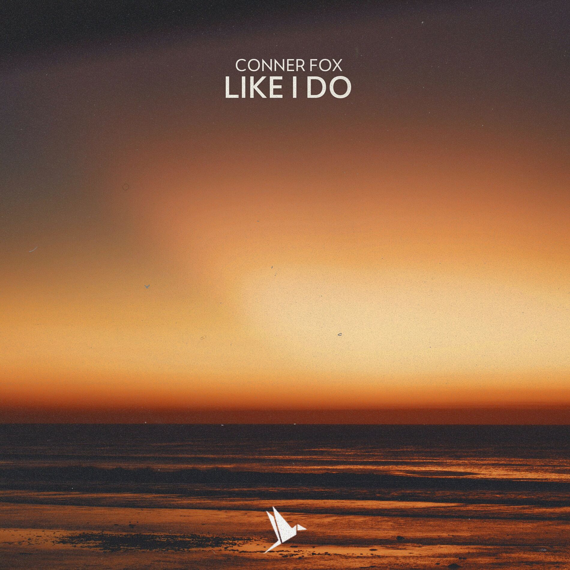 Album cover of Like I Do