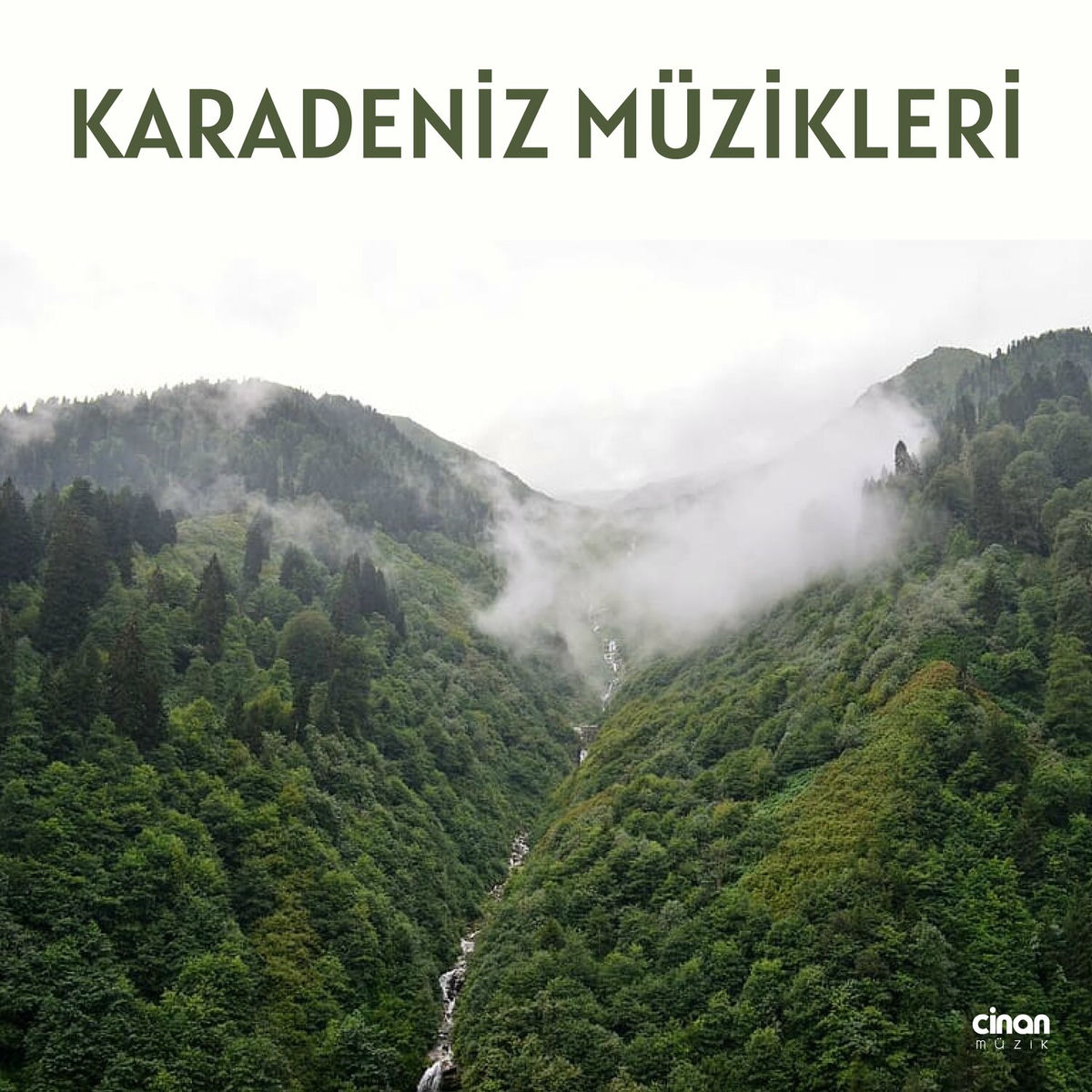 Album cover of Güvercinim