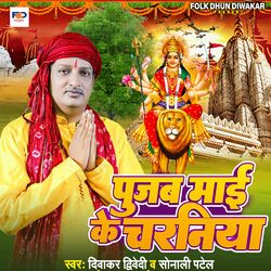 Cover of Pujab Mai Ke Charaniya