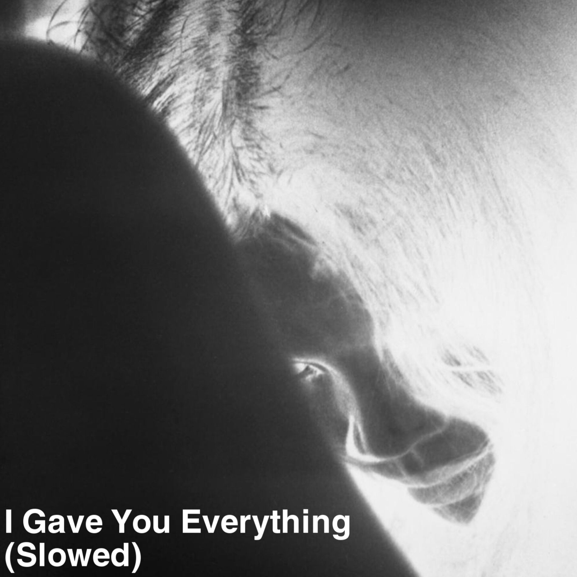 Album cover of I Gave You Everything