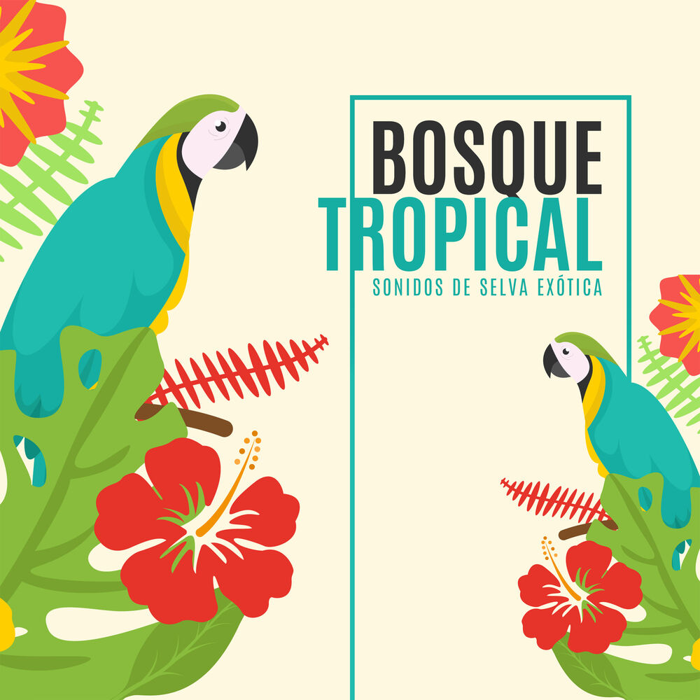 Picture of Bosque Tropical: Sonidos de Selva Exótica - Naturaleza Salvaje para Relajación, Buenas Sensaciones y Armonia Perfecta