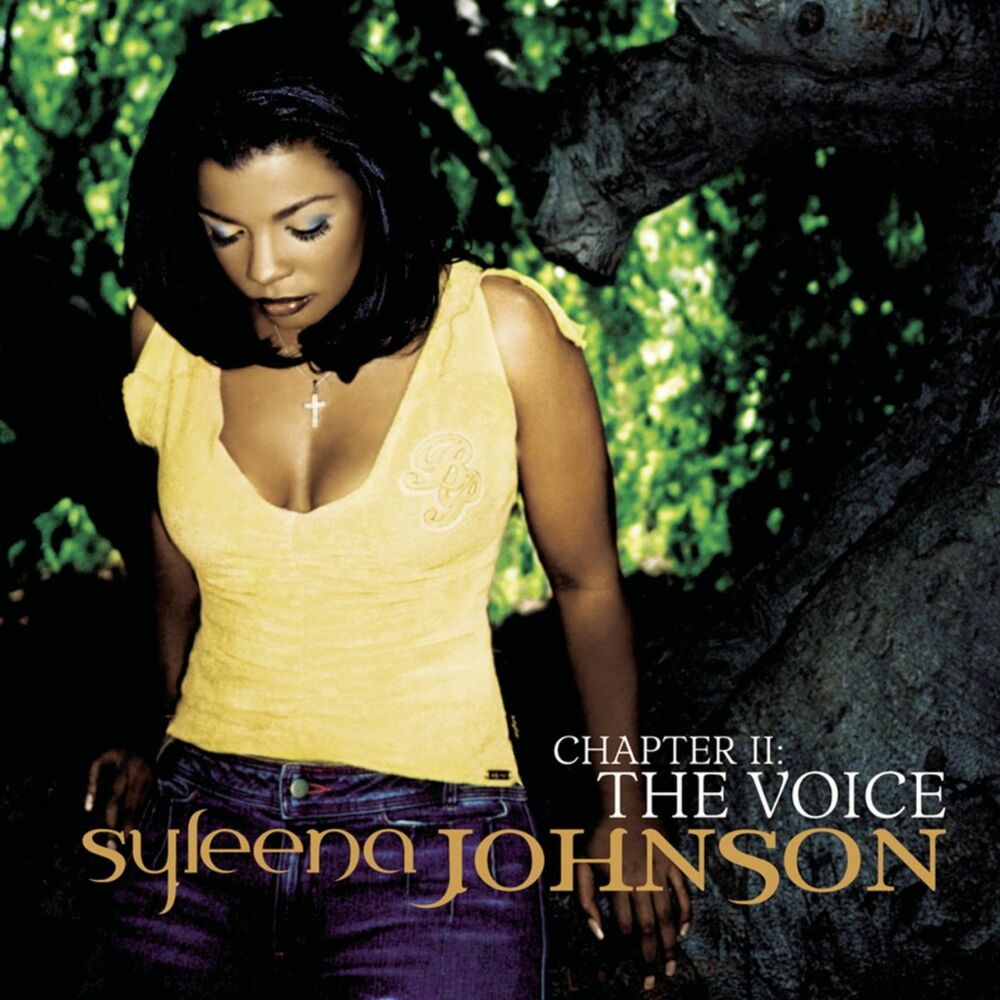 Picture of Chapter 2: The Voice