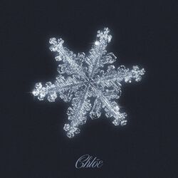Cover of Merry Christmas Baby / Winter Wonderland