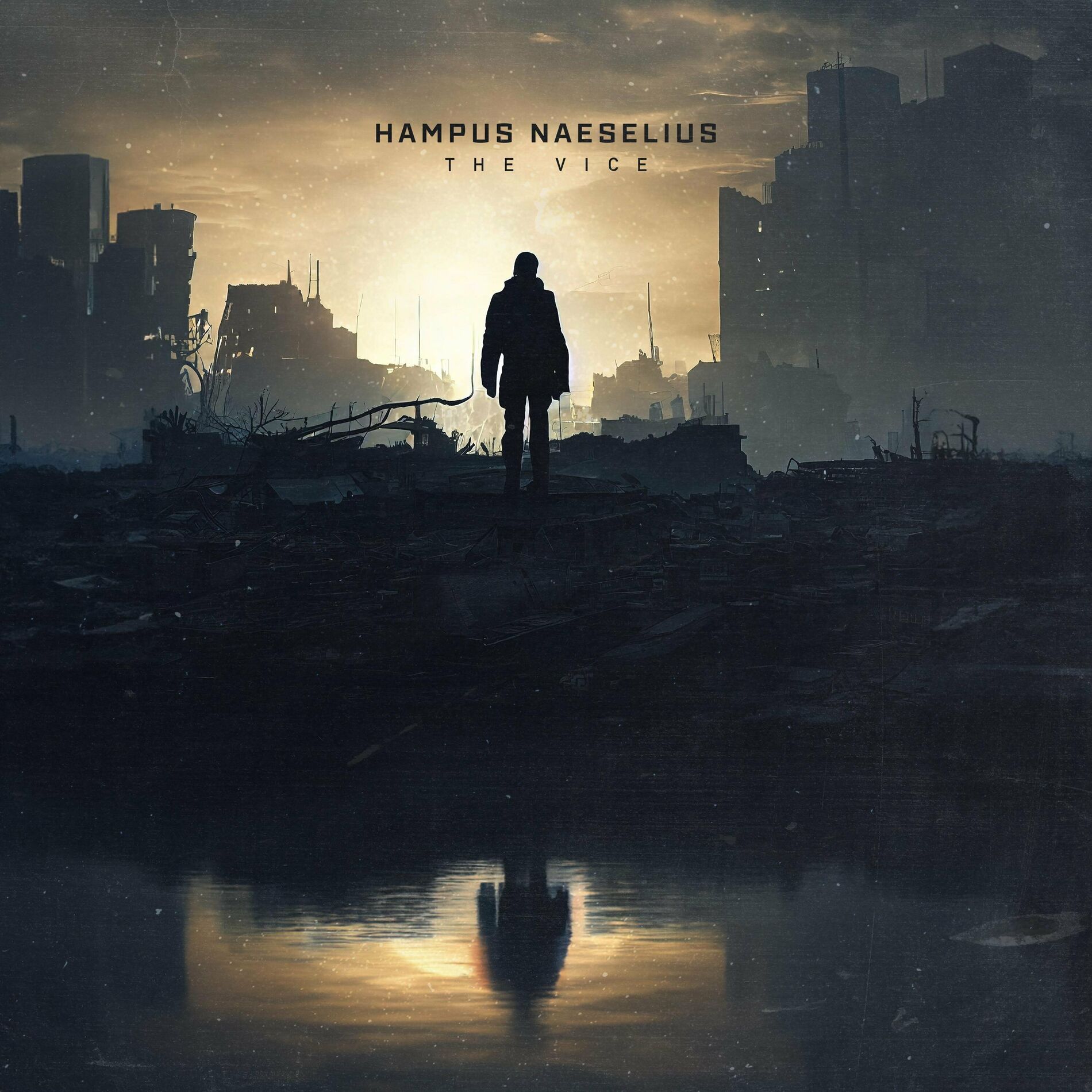 Album cover of The Vice