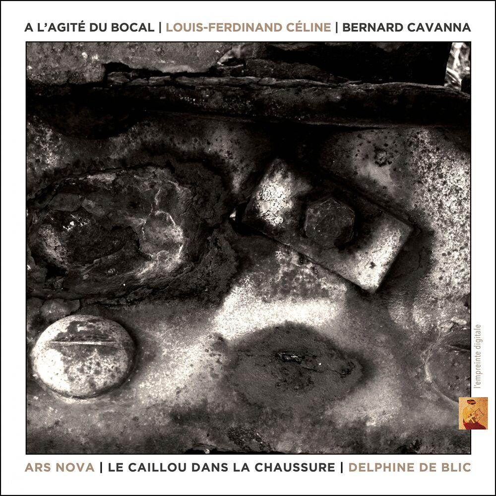 Picture of A l'agité du bocal (Bande originale du film Le caillou dans la chaussure de Delphine de Blic)