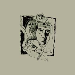 Cover of Arañas en la Sombra