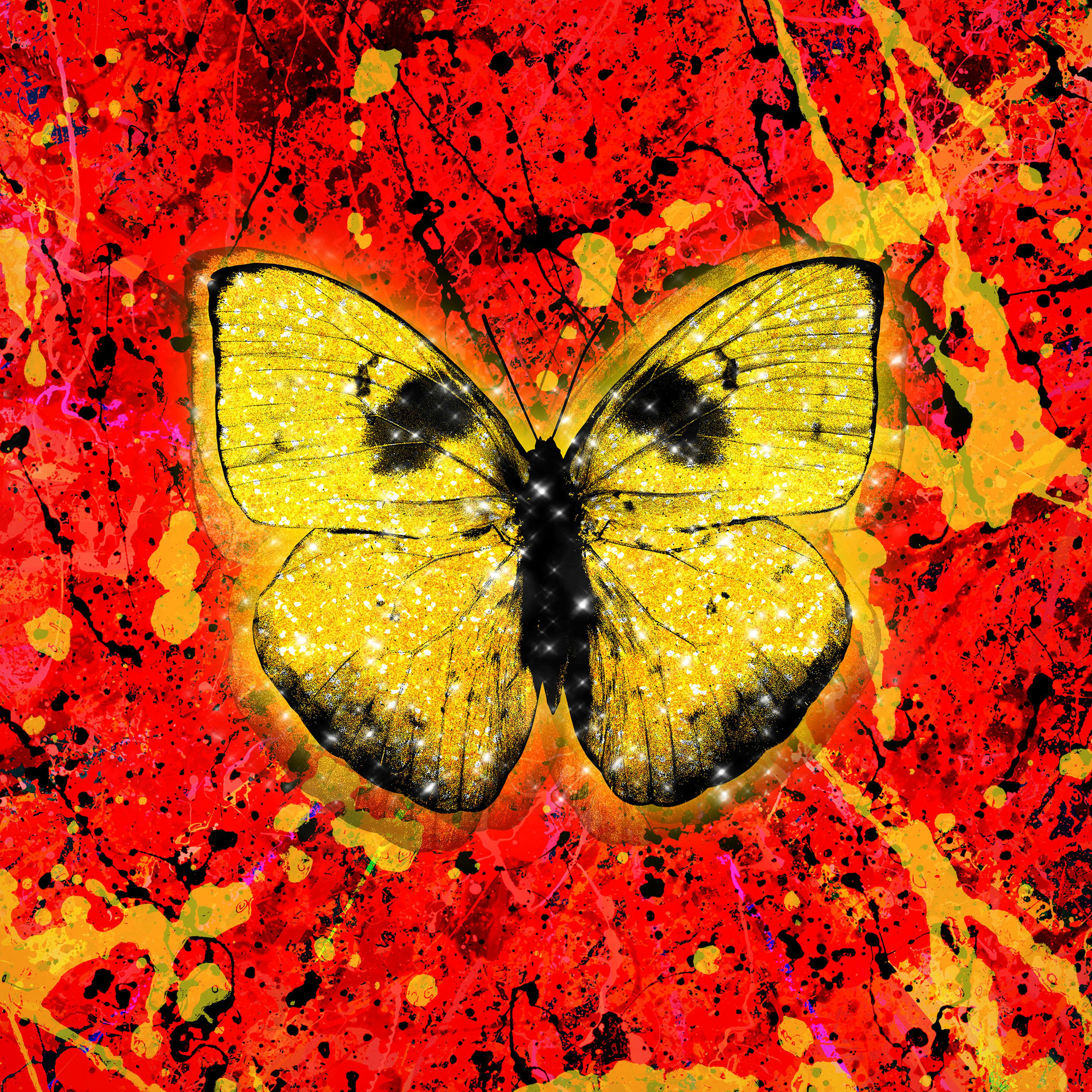 Album picture of Shivers