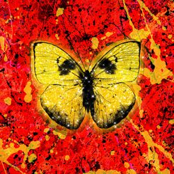 Cover of Shivers