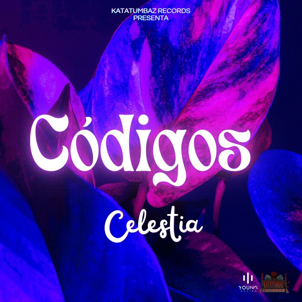 Picture of Códigos