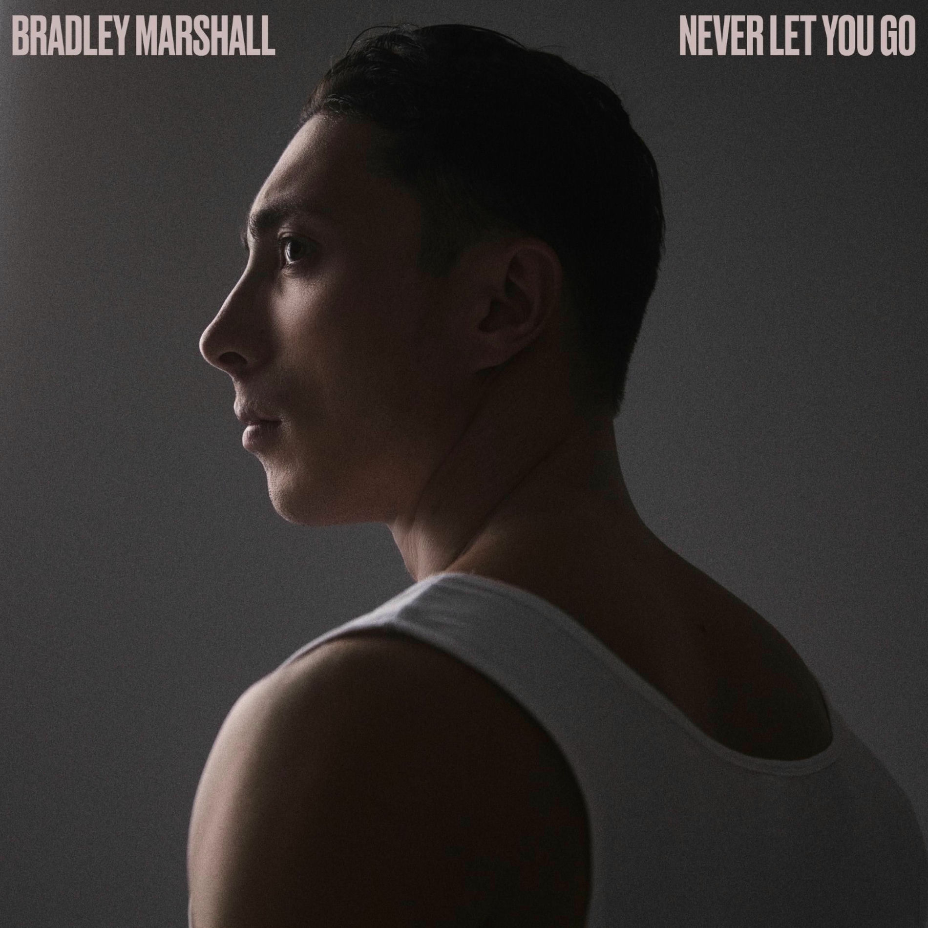 Album cover of Never Let You Go