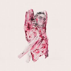Cover of Audio Polaroids