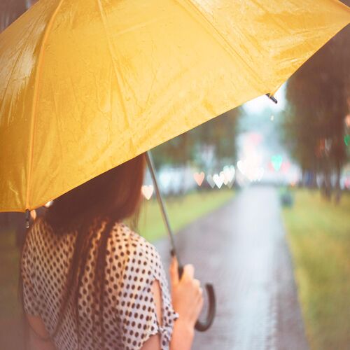 SUSUGAR – Spring rain is falling – Single