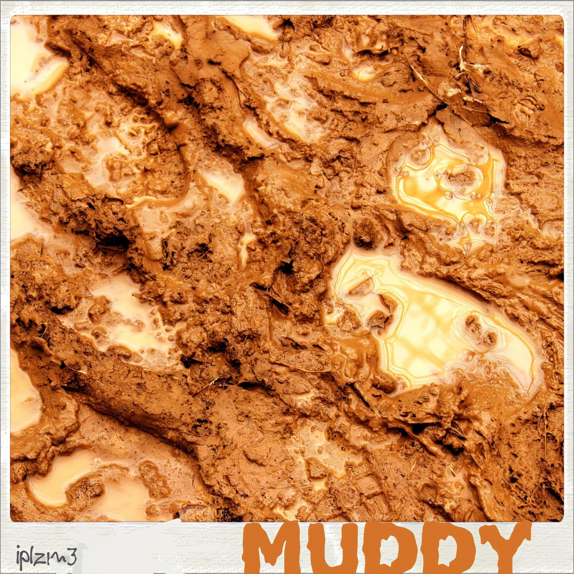 Album cover of MUDDY