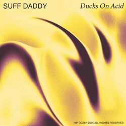 Cover of Ducks On Acid