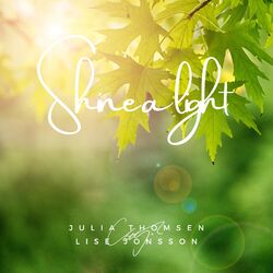 Cover of Shine a Light