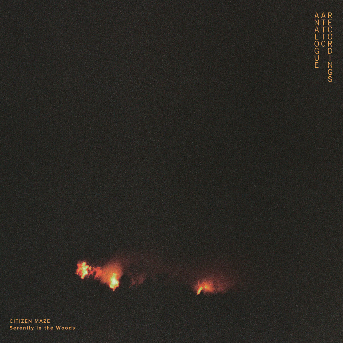 Album cover of Natural Playground