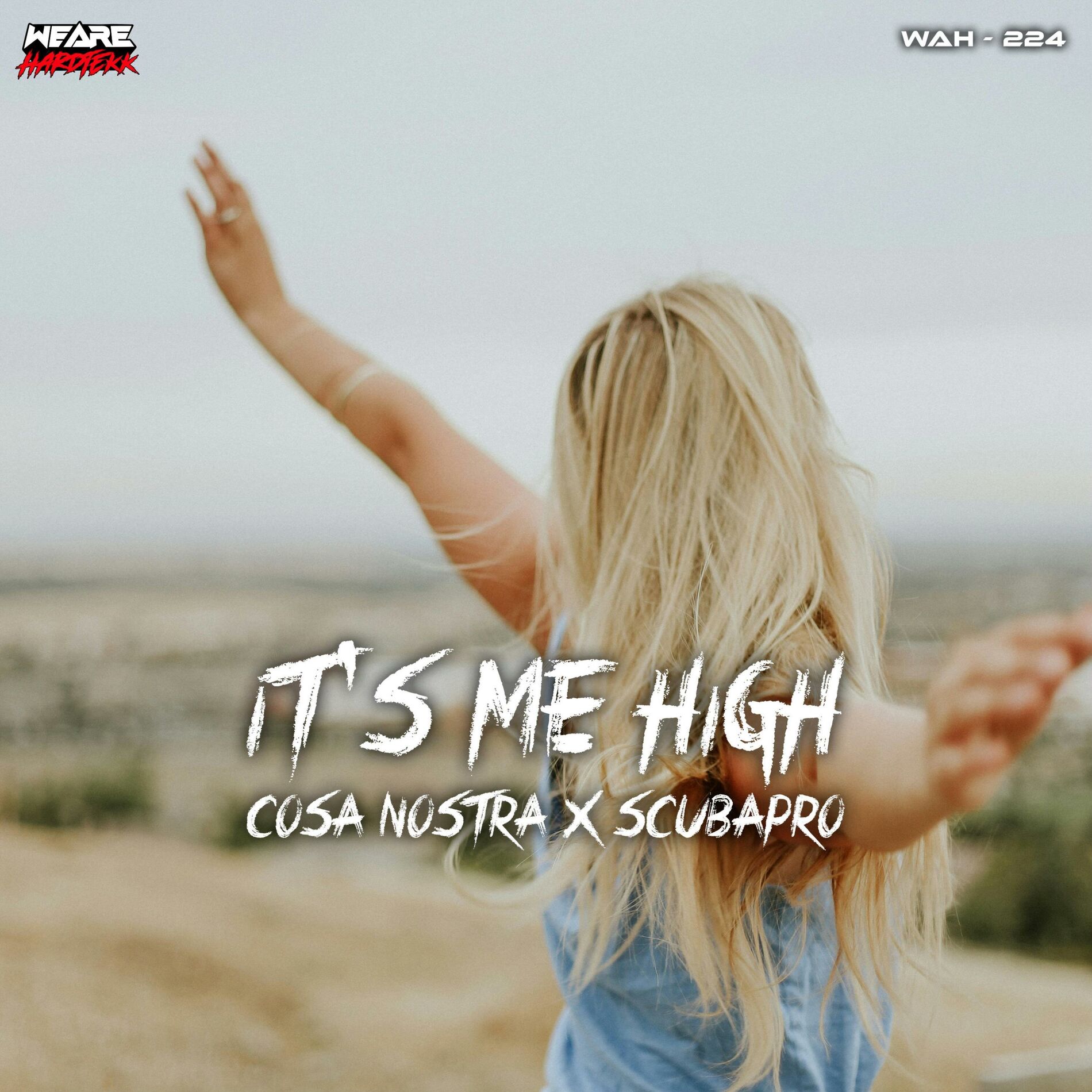Album cover of It's Me High (feat. ScubaPro)