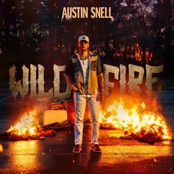 Cover of Wildfire