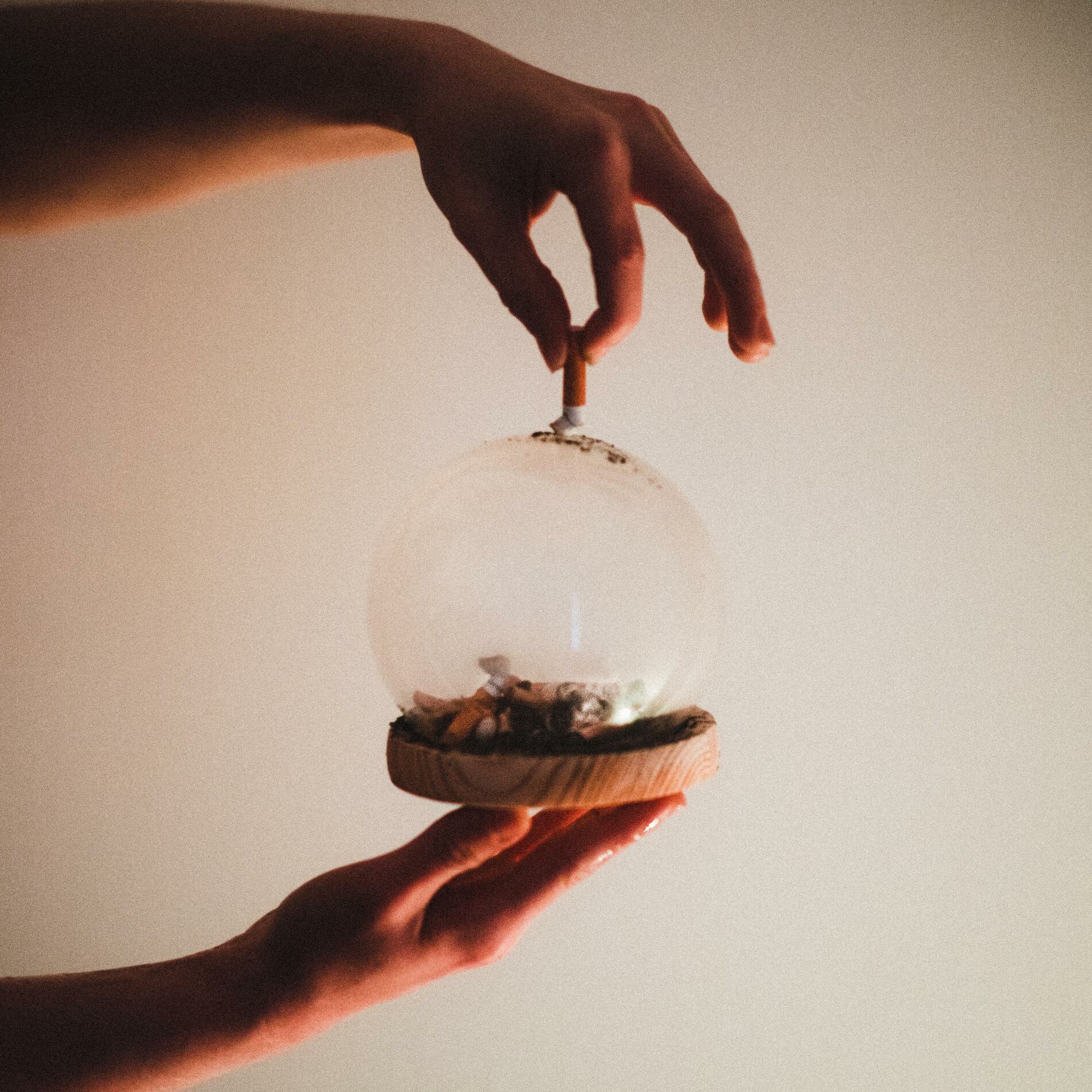 Album cover of Snowglobe