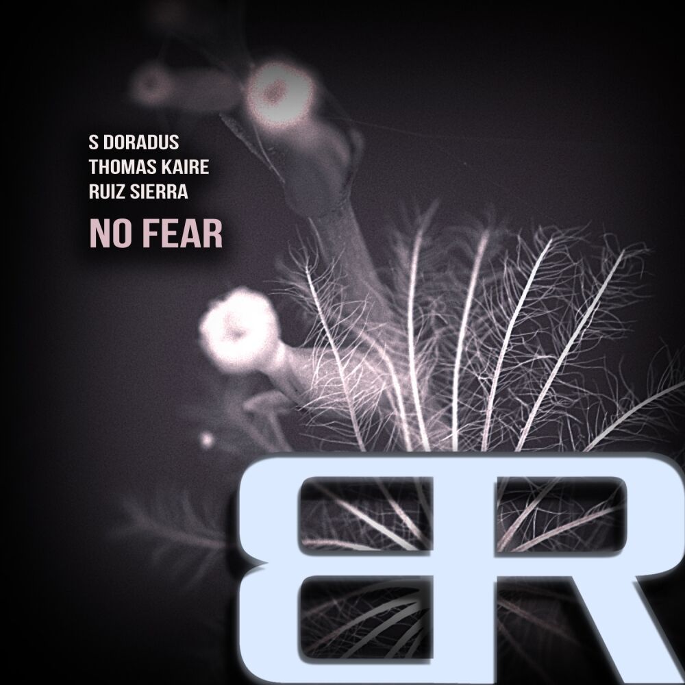 Picture of No Fear