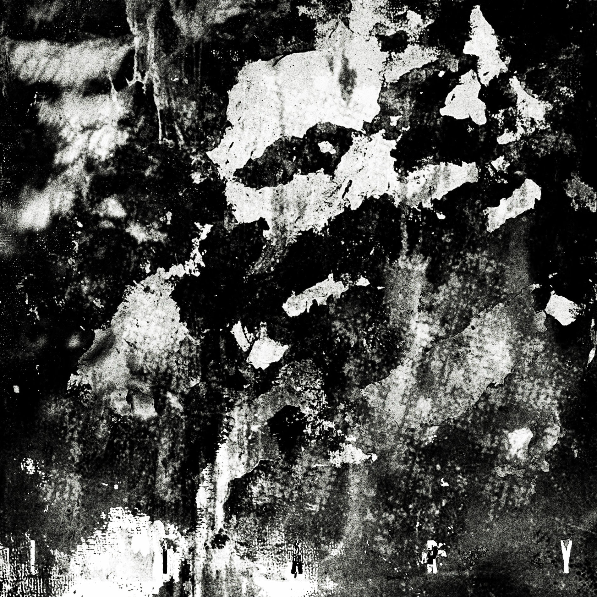 Album cover of LIARY