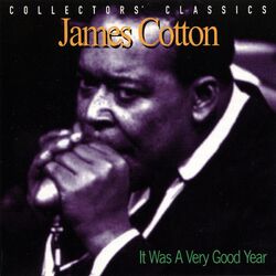 Cover of It Was A Very Good Year