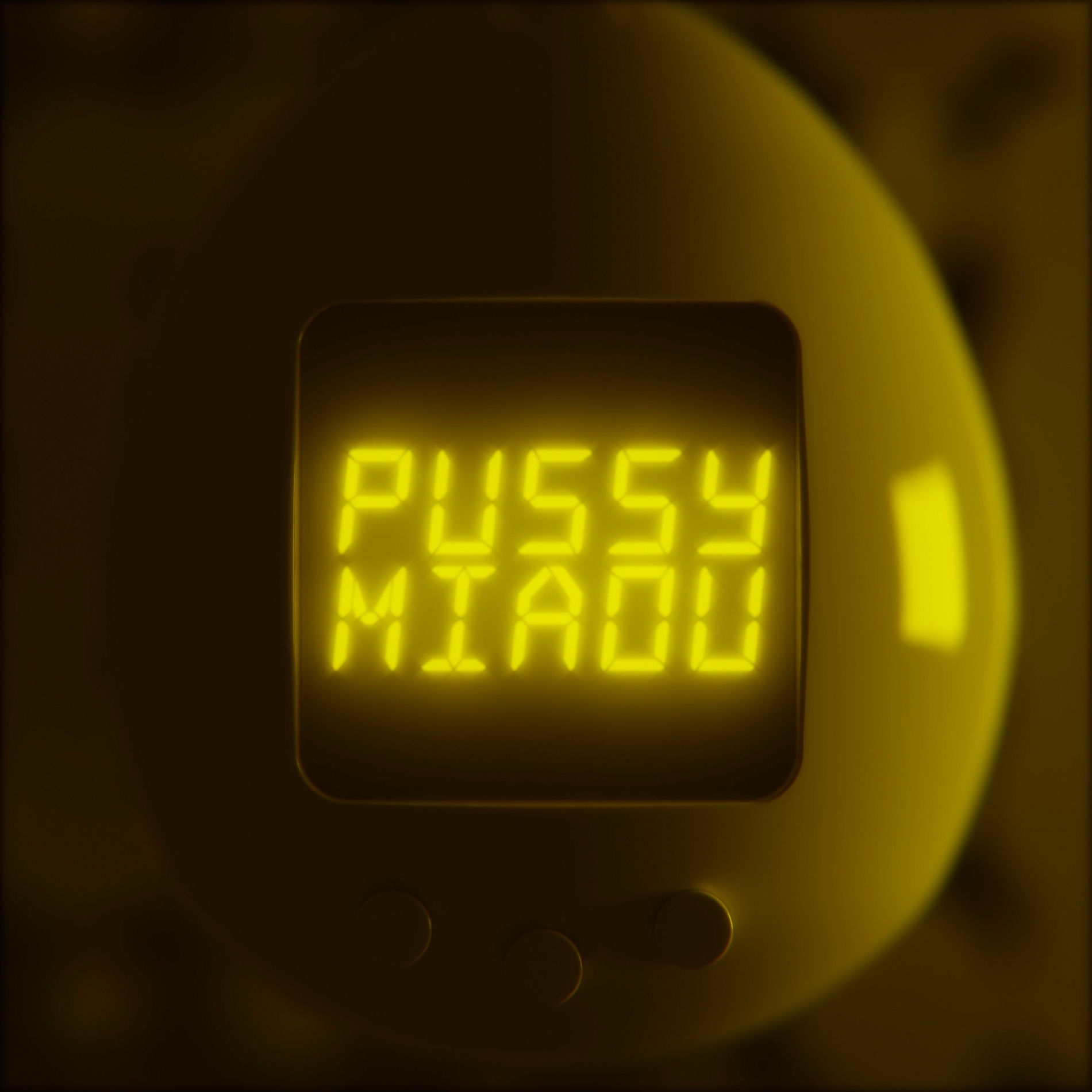 Album cover of Pussy miaou