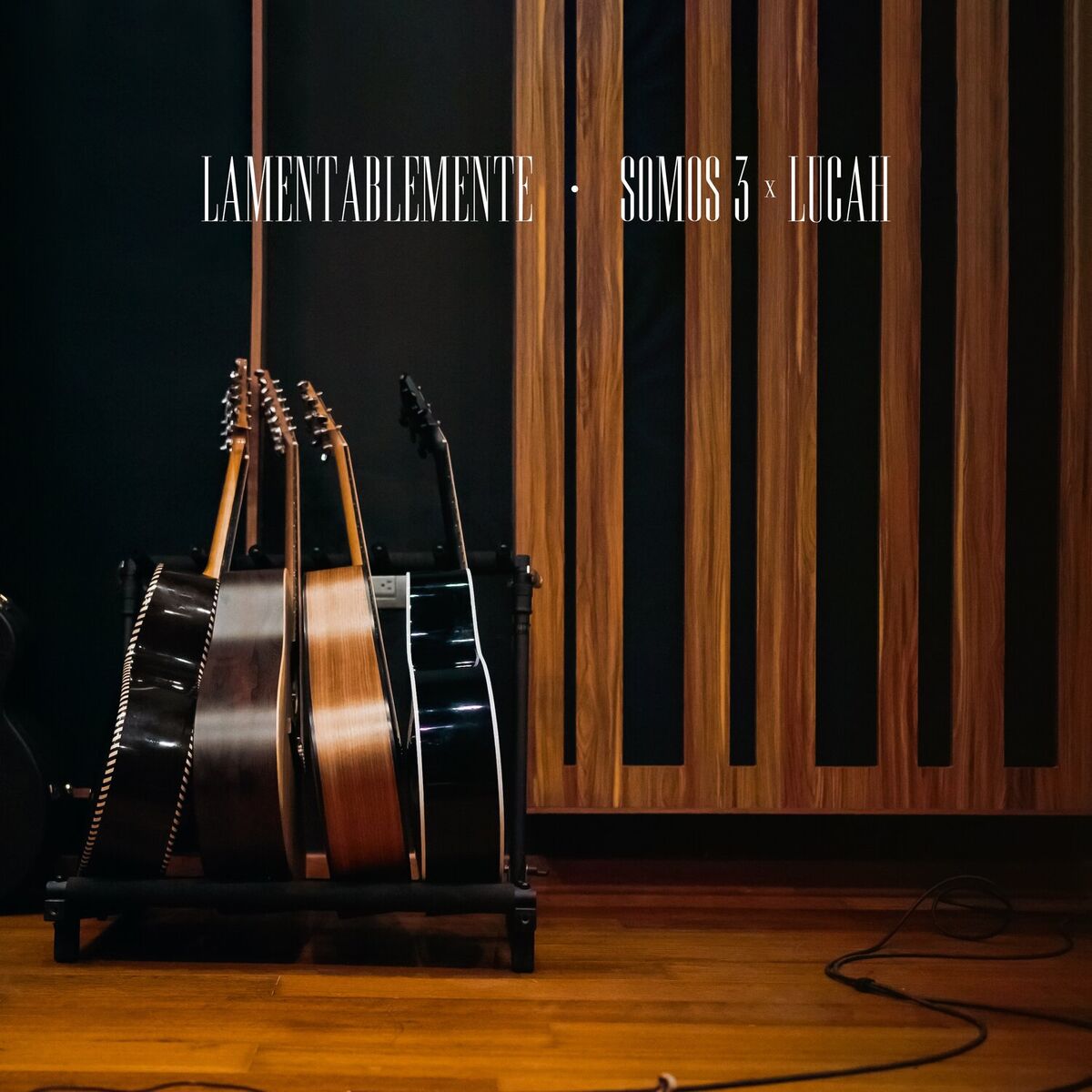 Album cover of Lamentablemente