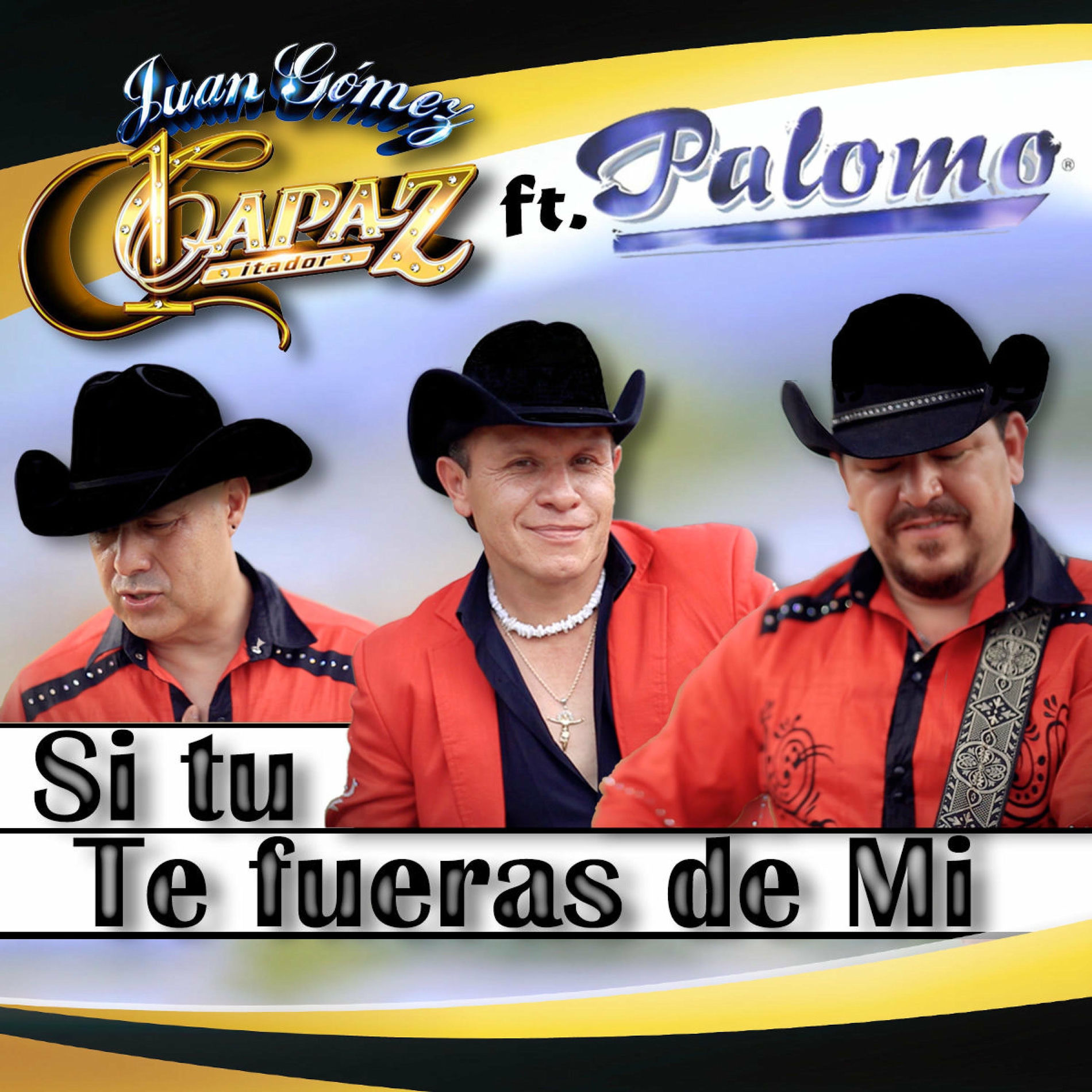 Album cover of Si Tu Te Fueras de Mi (feat. Palomo)